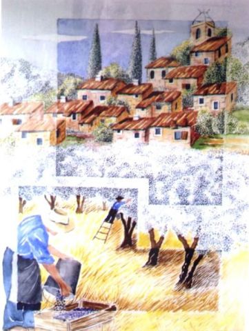 la recolte des olives